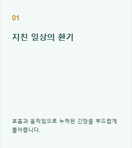 라이센스 취득